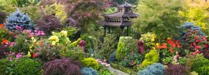 Photo d'un jardin japonais fleuris