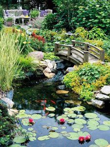 Photo d'un bassin japonais pour koï