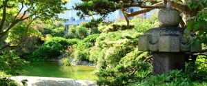 Jardin japonais avec un bassin 